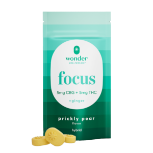 Focus 1:1 Prickly Pear